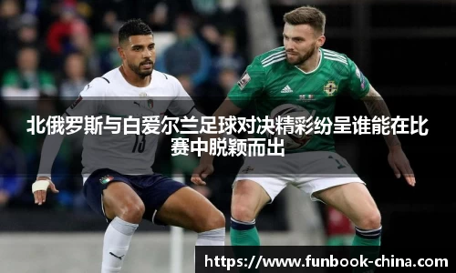 北俄罗斯与白爱尔兰足球对决精彩纷呈谁能在比赛中脱颖而出